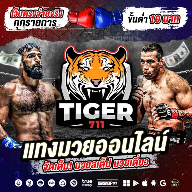 Tiger711