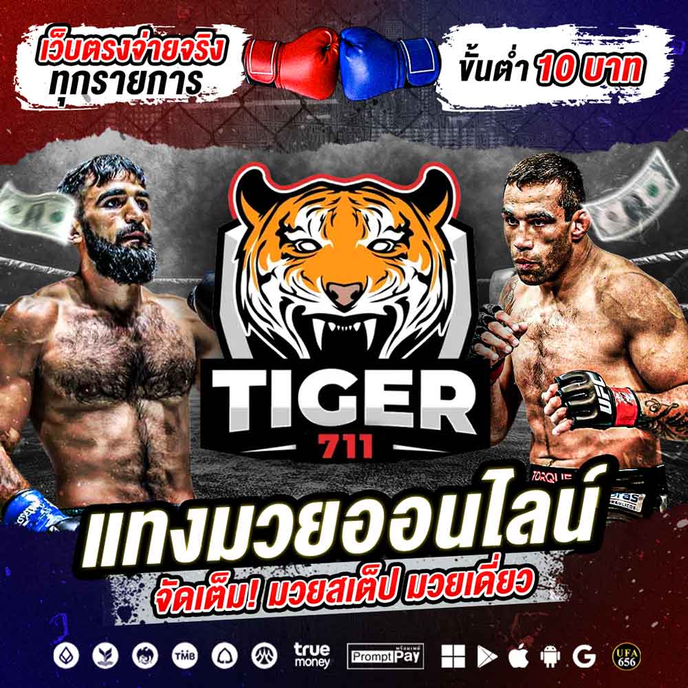 Tiger711